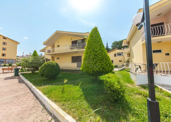 Kolaveri Golem (Tirana)